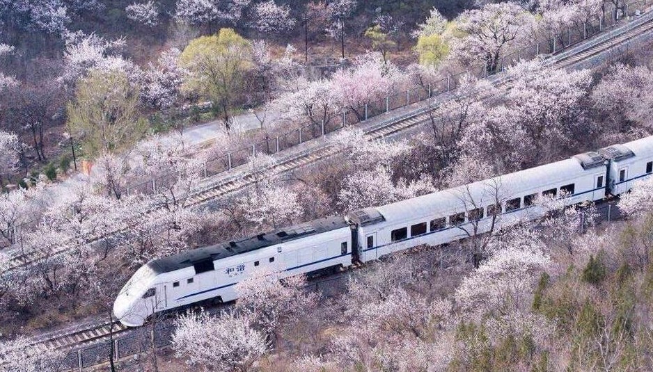 京张铁路上开往春天的列车